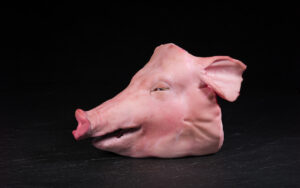 Schweins-Kopf ganz